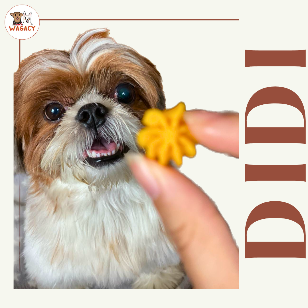 Egg Yolk Drop π₯