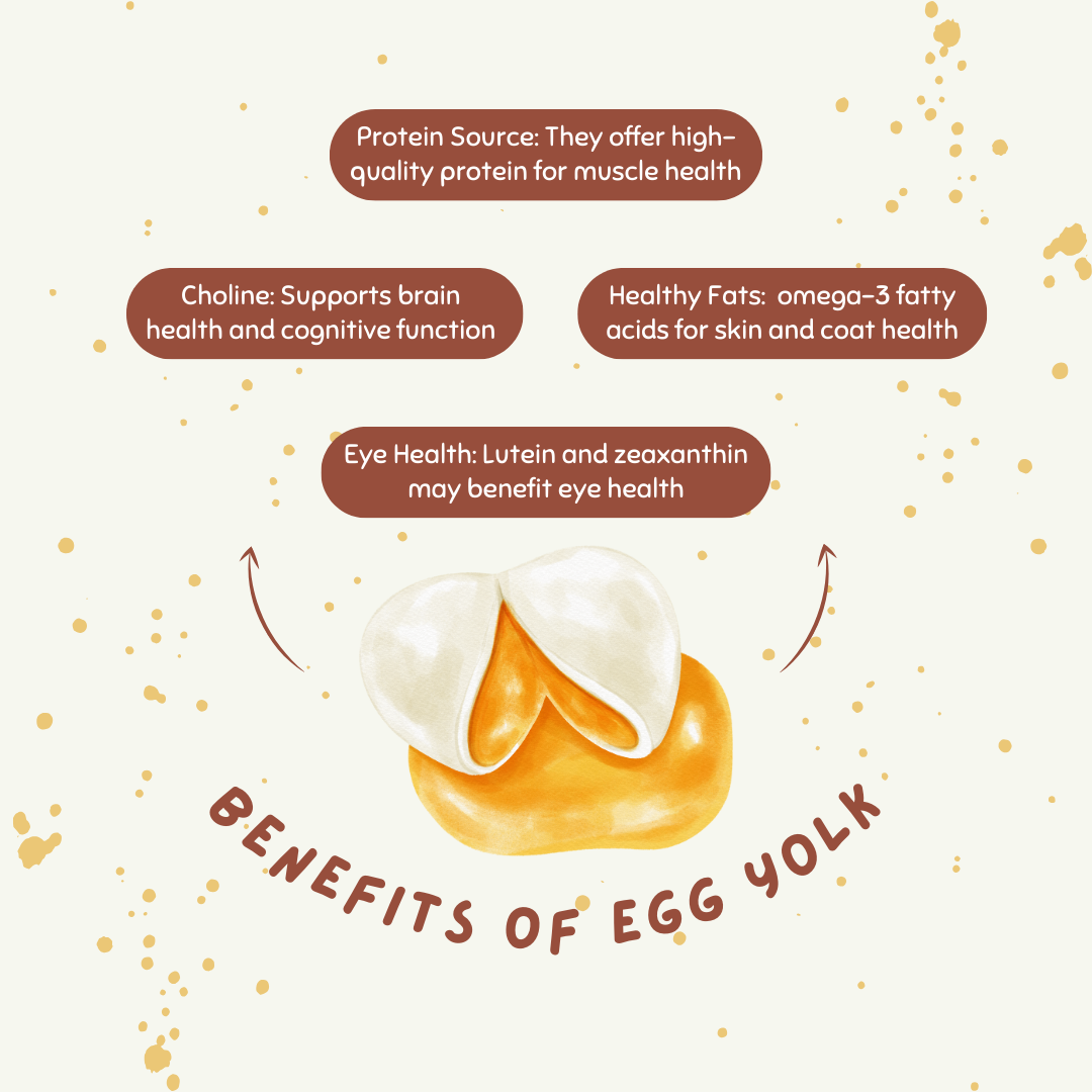 Egg Yolk Drop π₯