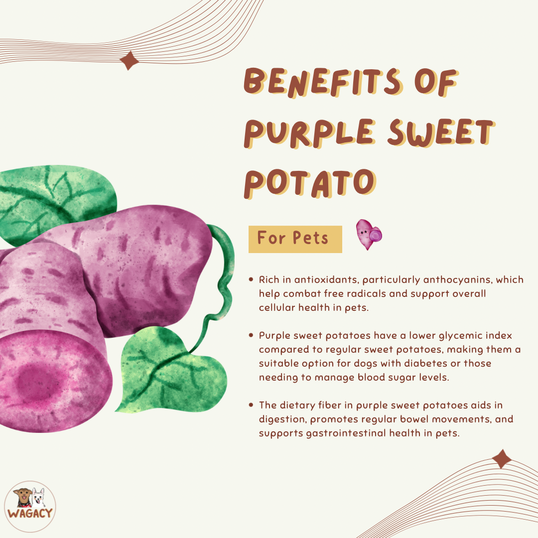 Chicken & Sweet Potato π