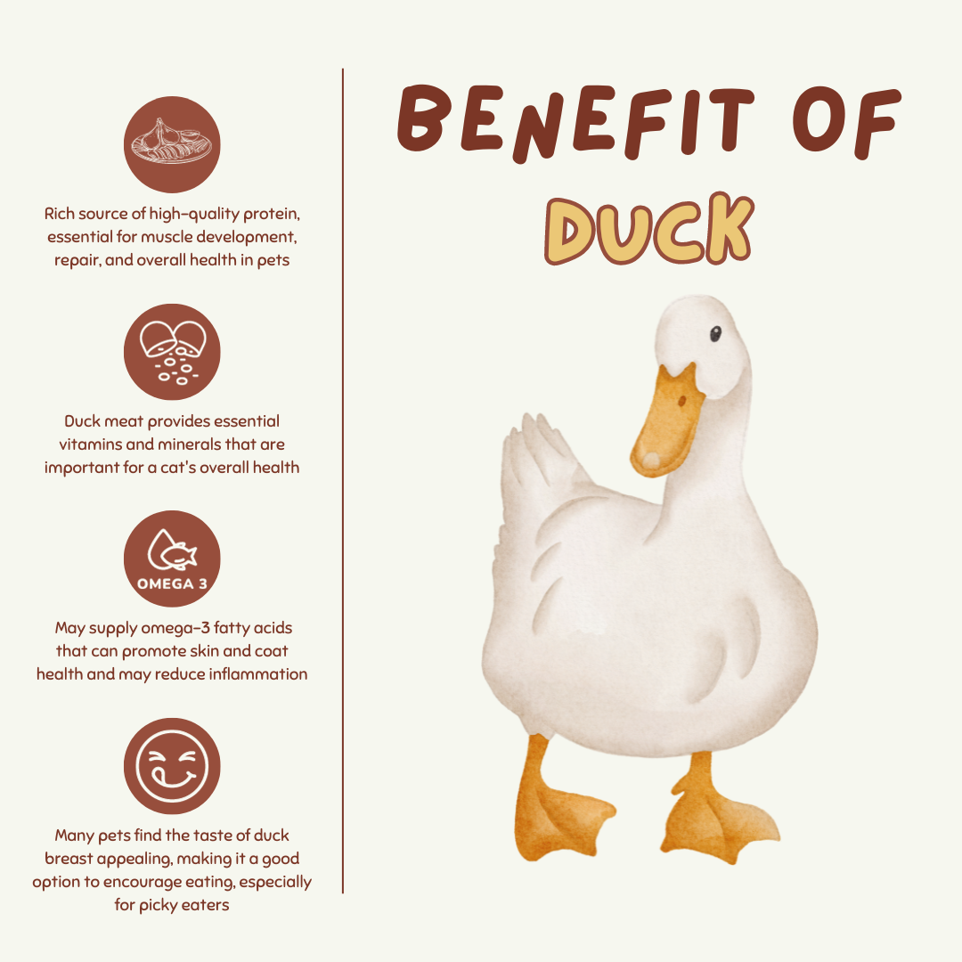 Nutty Duckie π₯