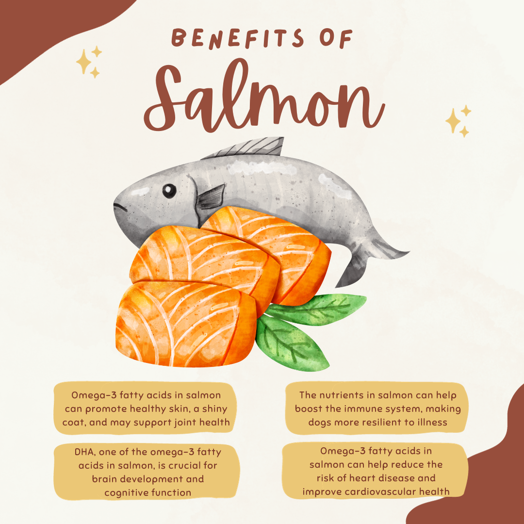 Salmon Bites π