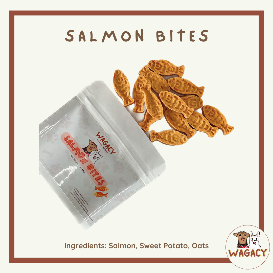 Salmon Bites π