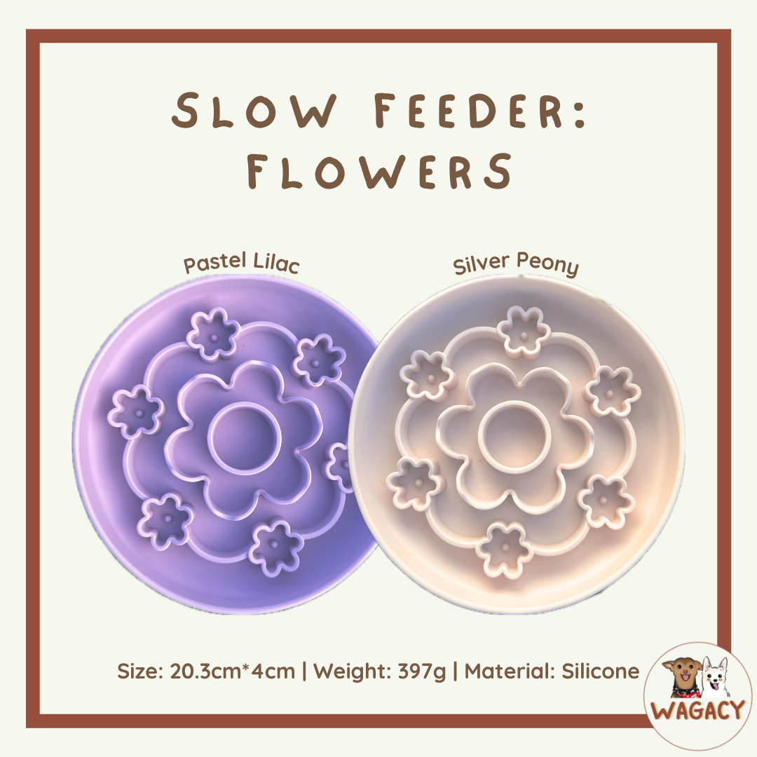 Slow Feeder: Flowers 🌸