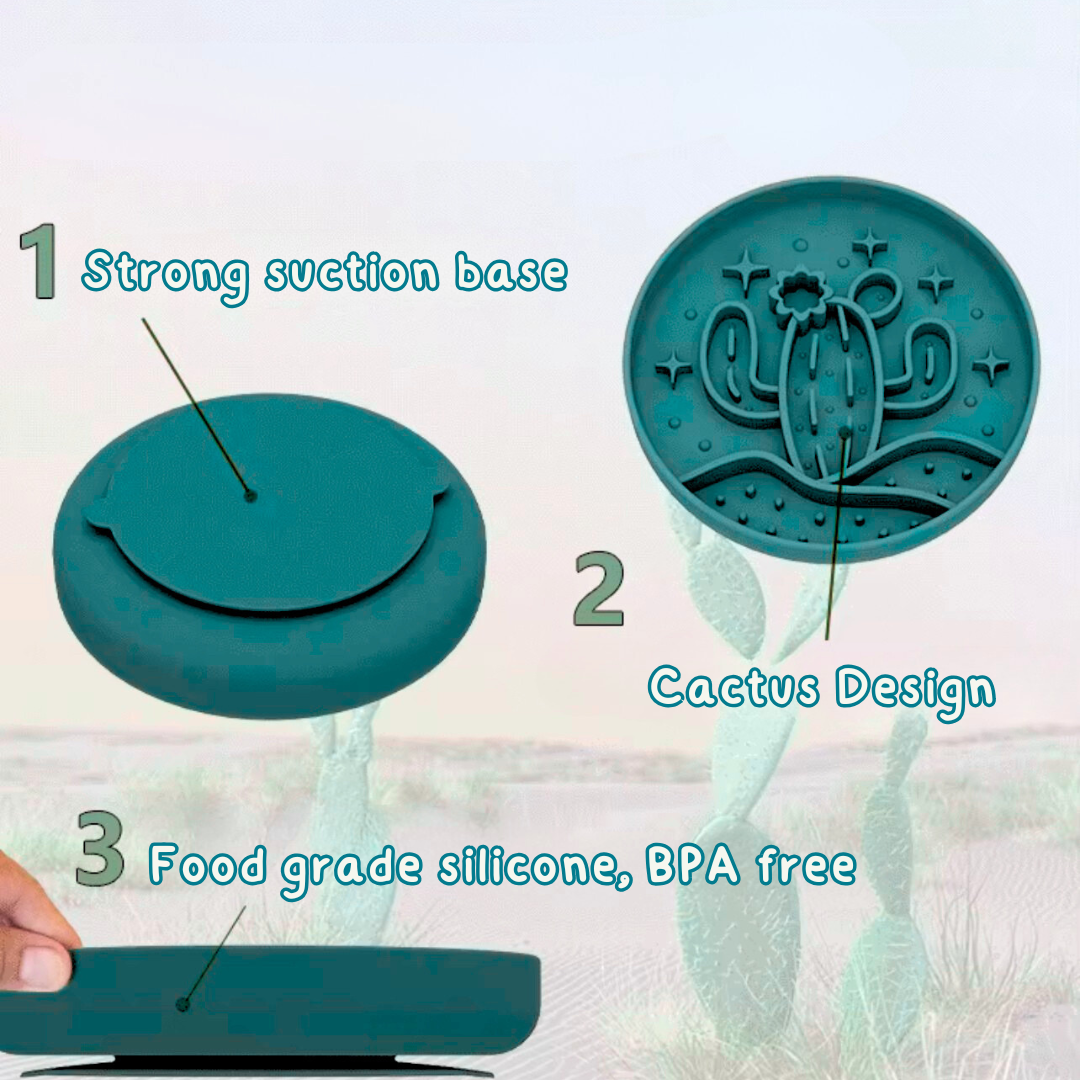 Slow Feeder: Cactus 🌵