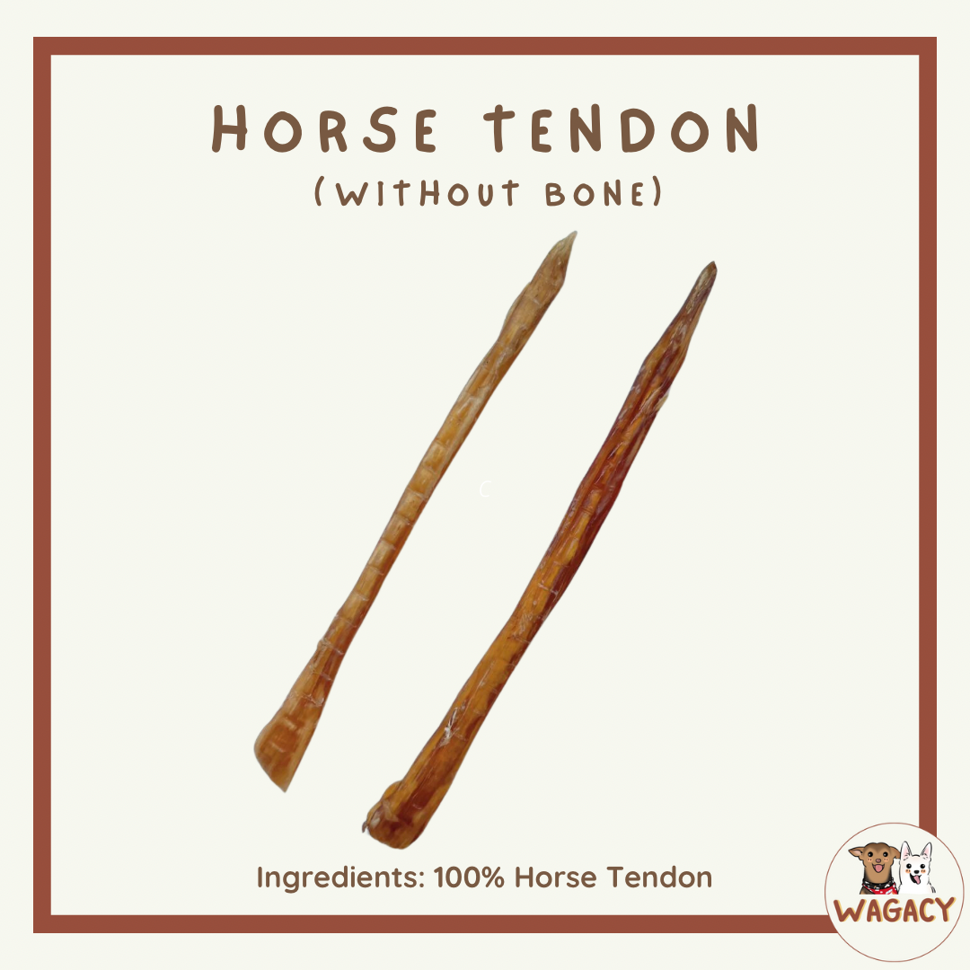 Horse Tendon