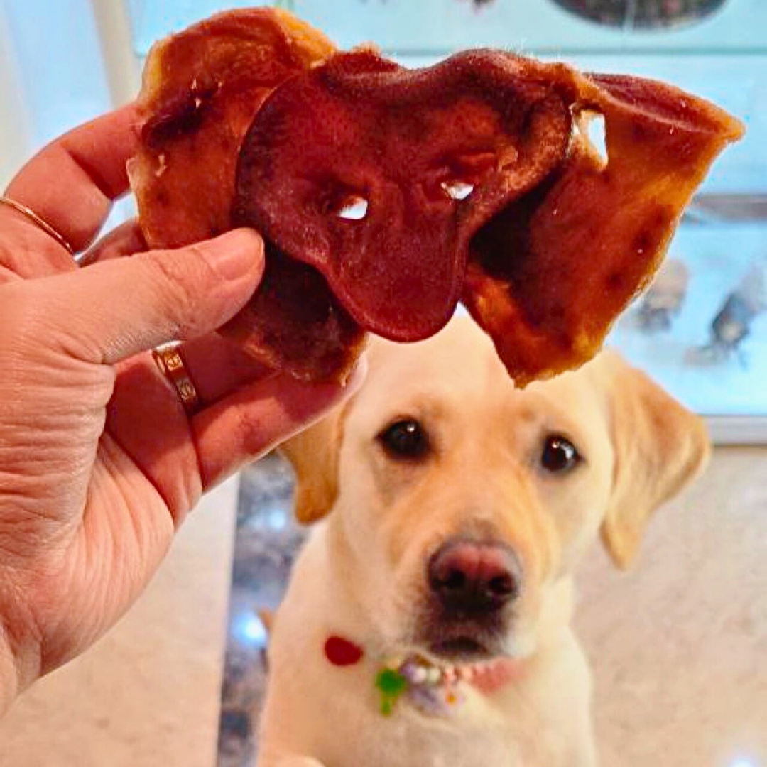 Pork Snout 🐽