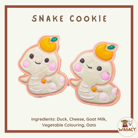 <CNY> Snake Cookie