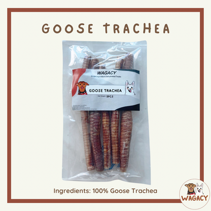 Goose Trachea