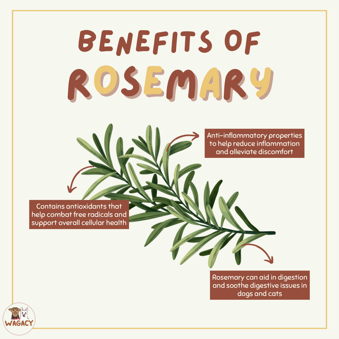 Rosemary Beef