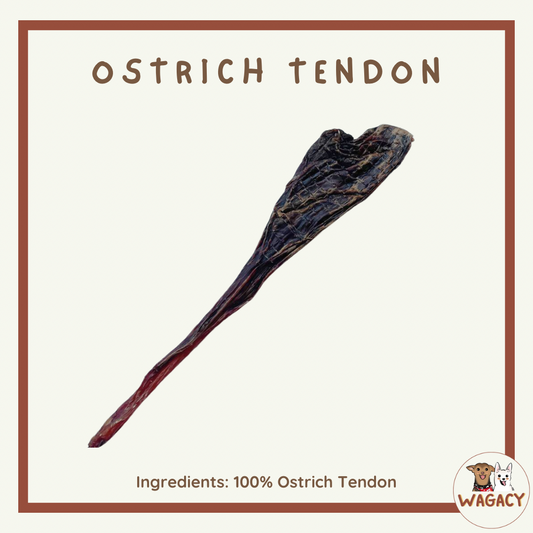 Ostrich Tendon