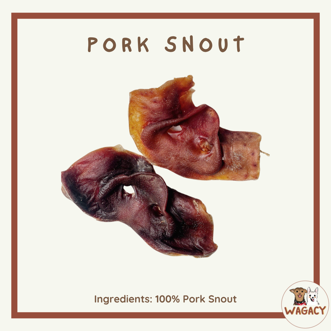 Pork Snout 🐽