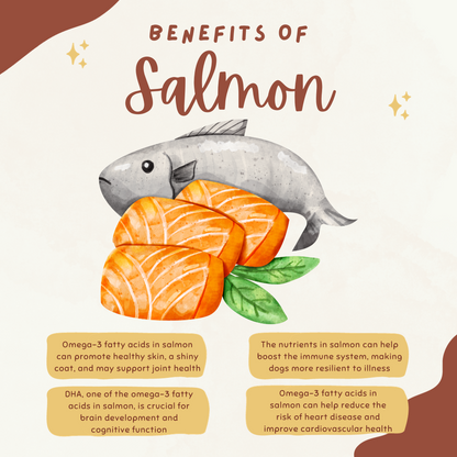 Salmon Bites 🐟