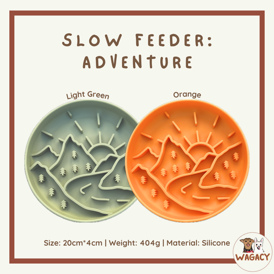 Slow Feeder: Adventure 🏞