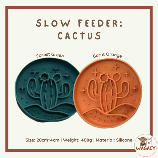 Slow Feeder: Cactus 🌵