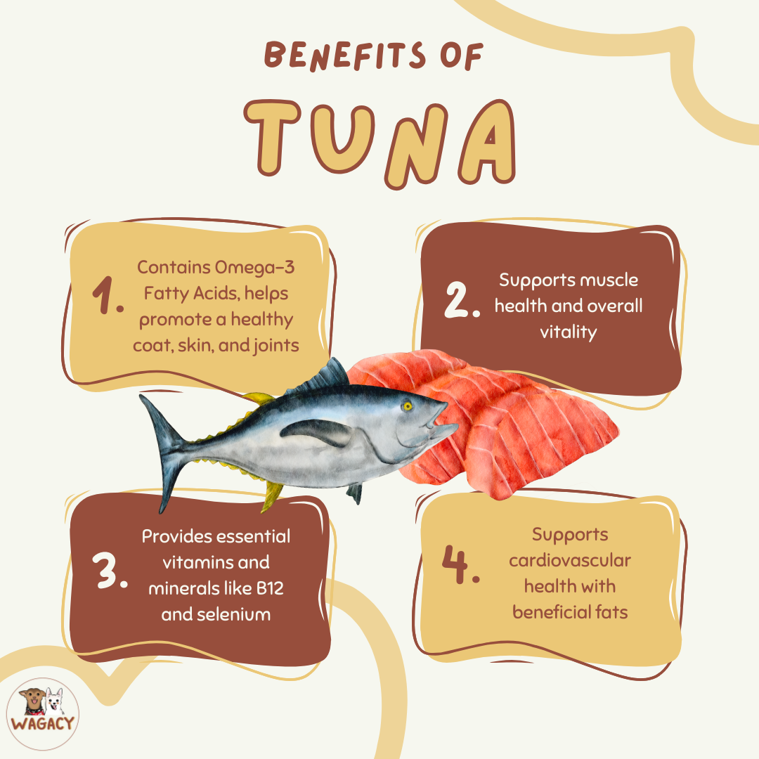 Tuna Island 🐟