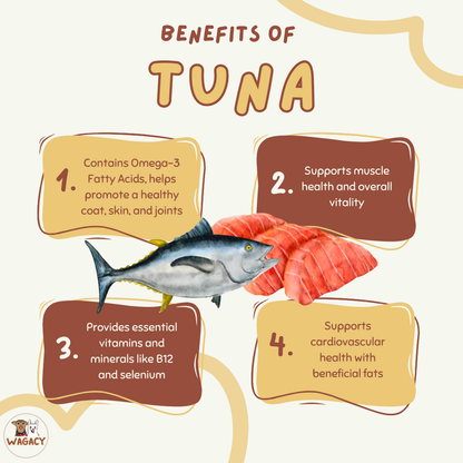Tuna Island 🐟
