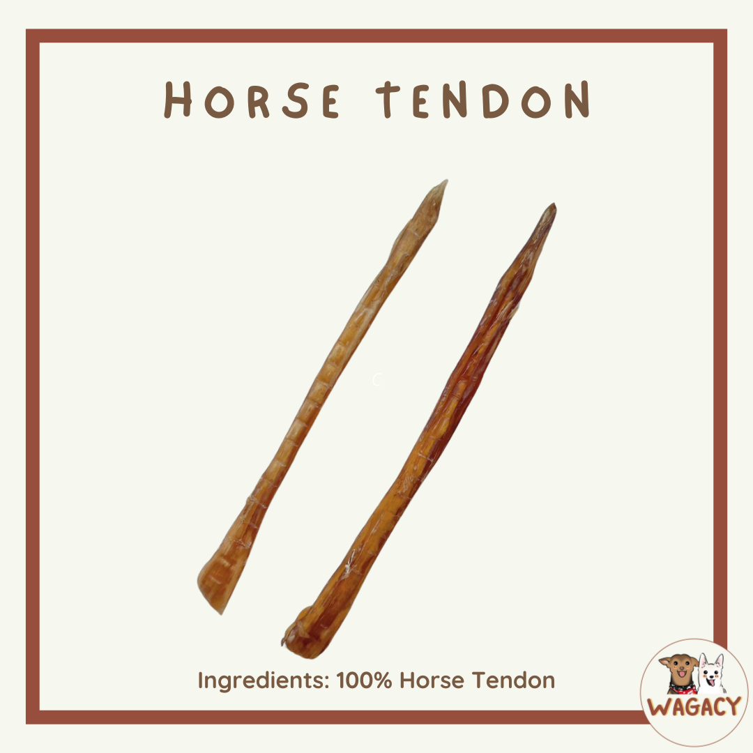 Horse Tendon